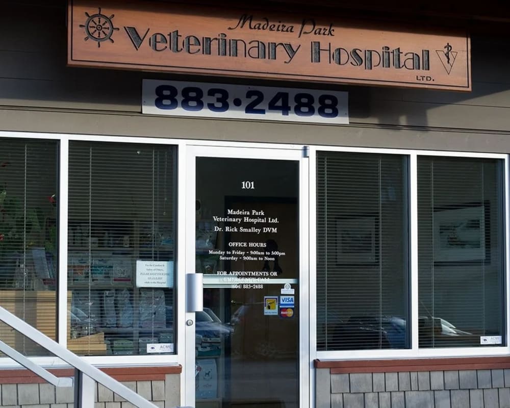 About Madeira Park Veterinary Hospital, Madeira Park Veterinarian