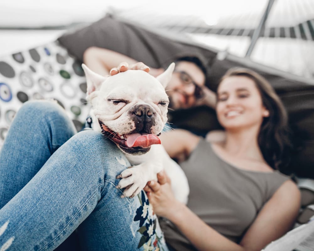 Spaying & Neutering, Madeira Park Veterinarians